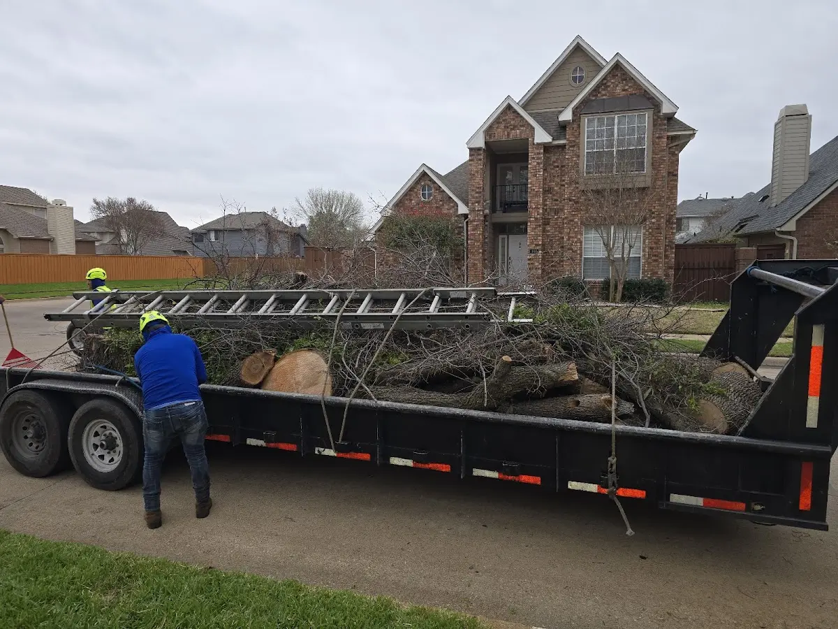 Expert Tree Removal with proper safety equipment in Marcell